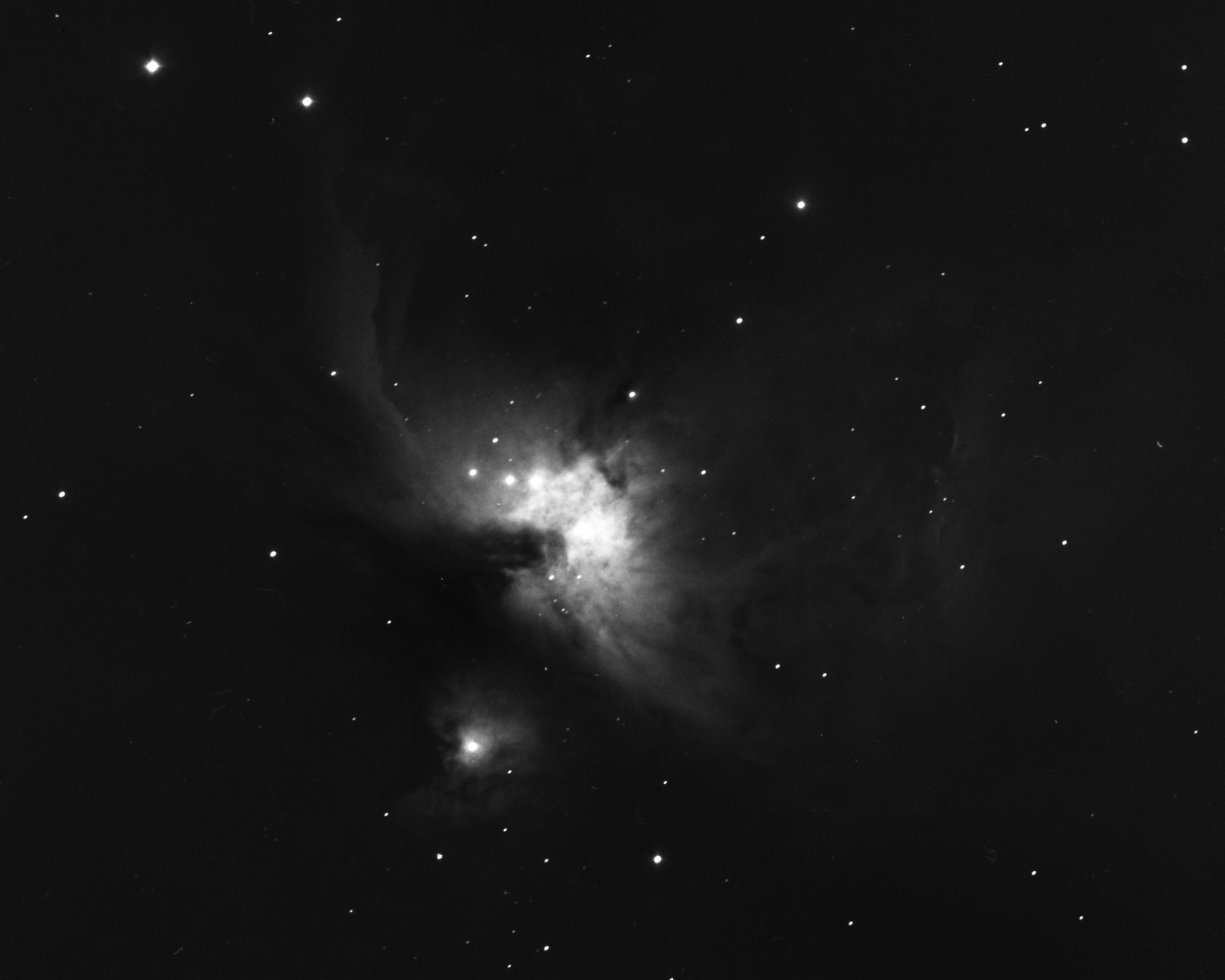 scan of a photographic plate observation of the Orion Nebula